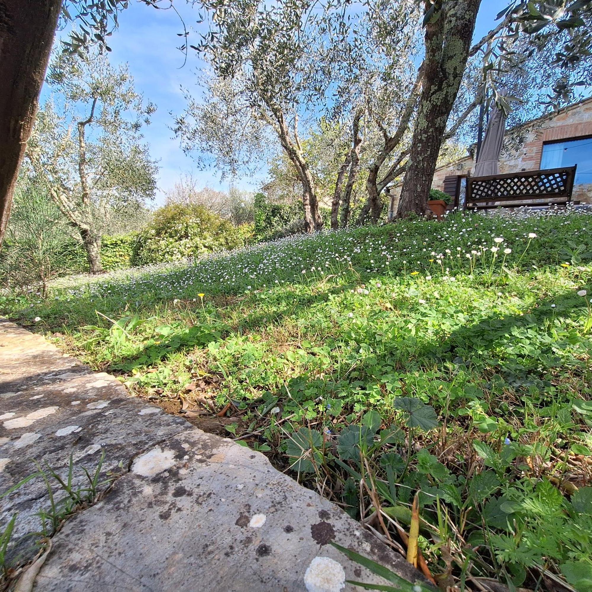 Affittacamere Dimora nel Chianti San Sano Esterno foto
