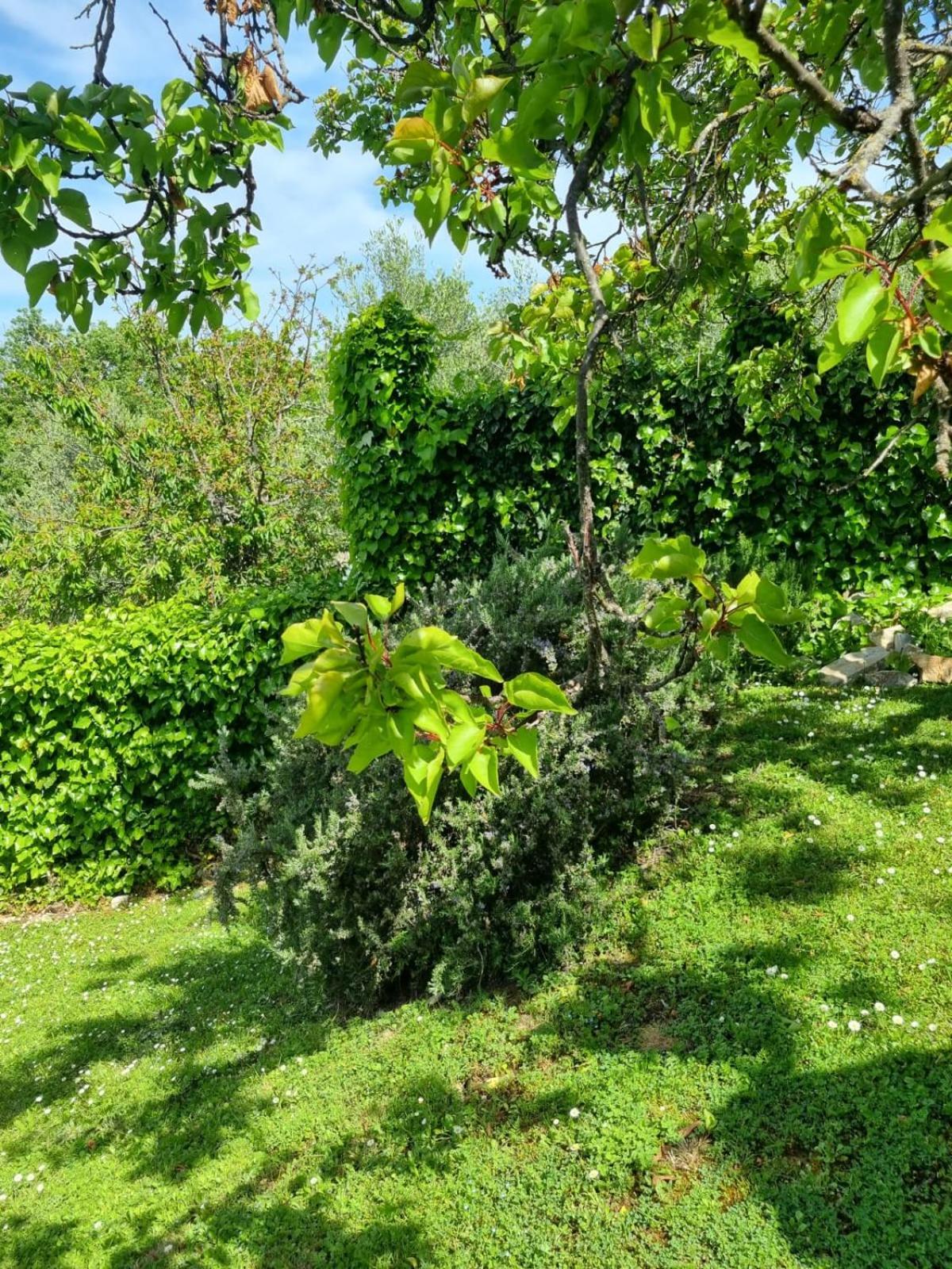 Affittacamere Dimora nel Chianti San Sano Esterno foto