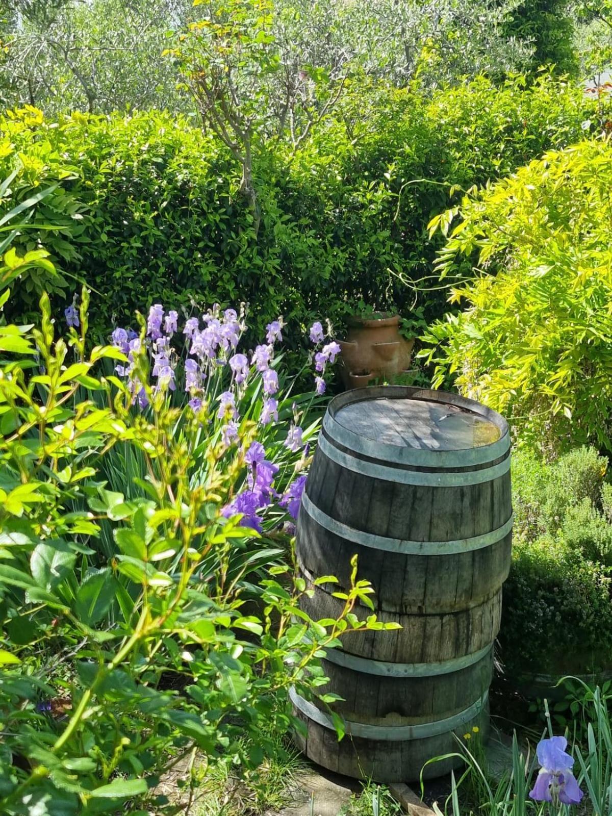 Affittacamere Dimora nel Chianti San Sano Esterno foto
