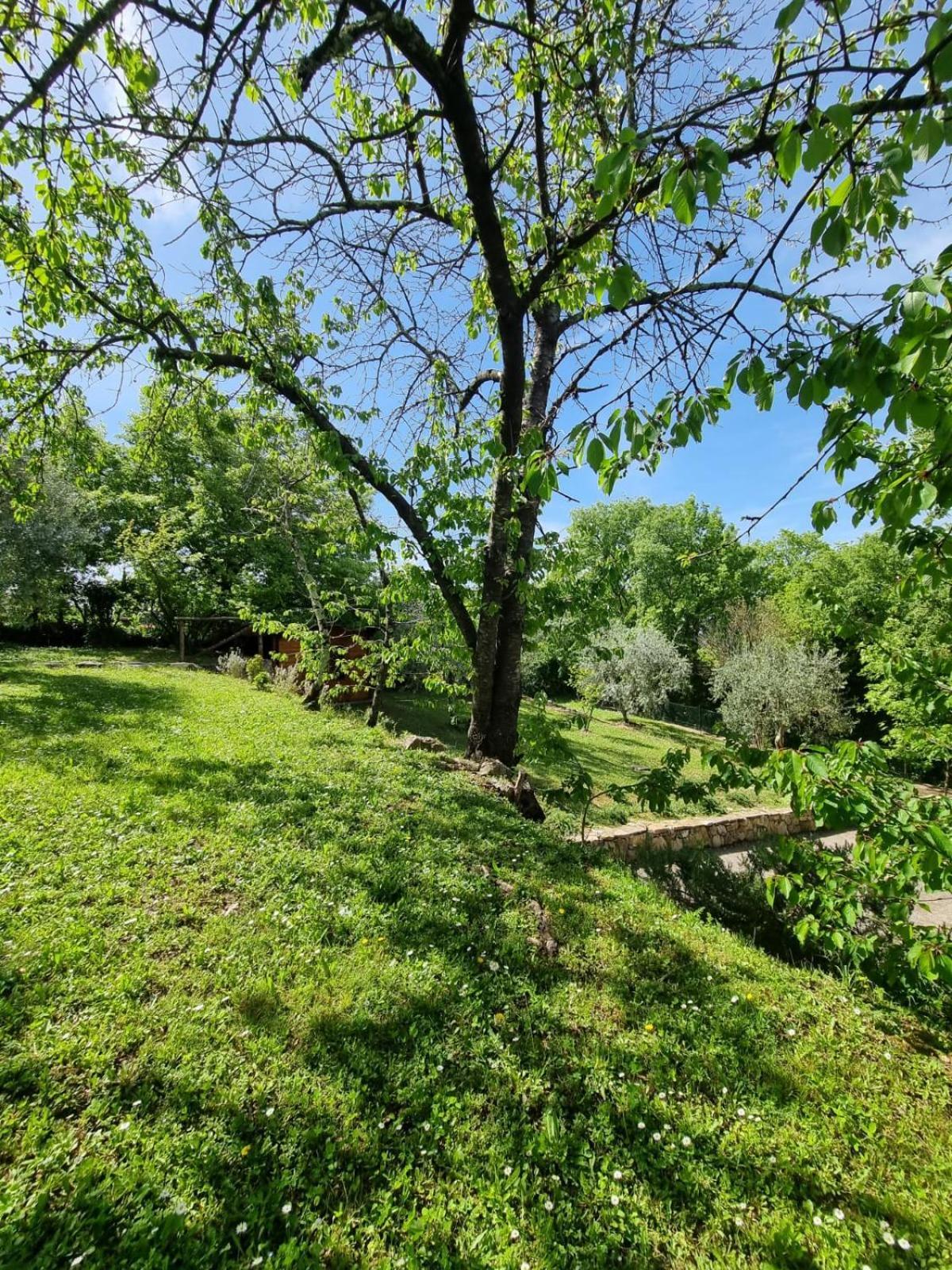 Affittacamere Dimora nel Chianti San Sano Esterno foto