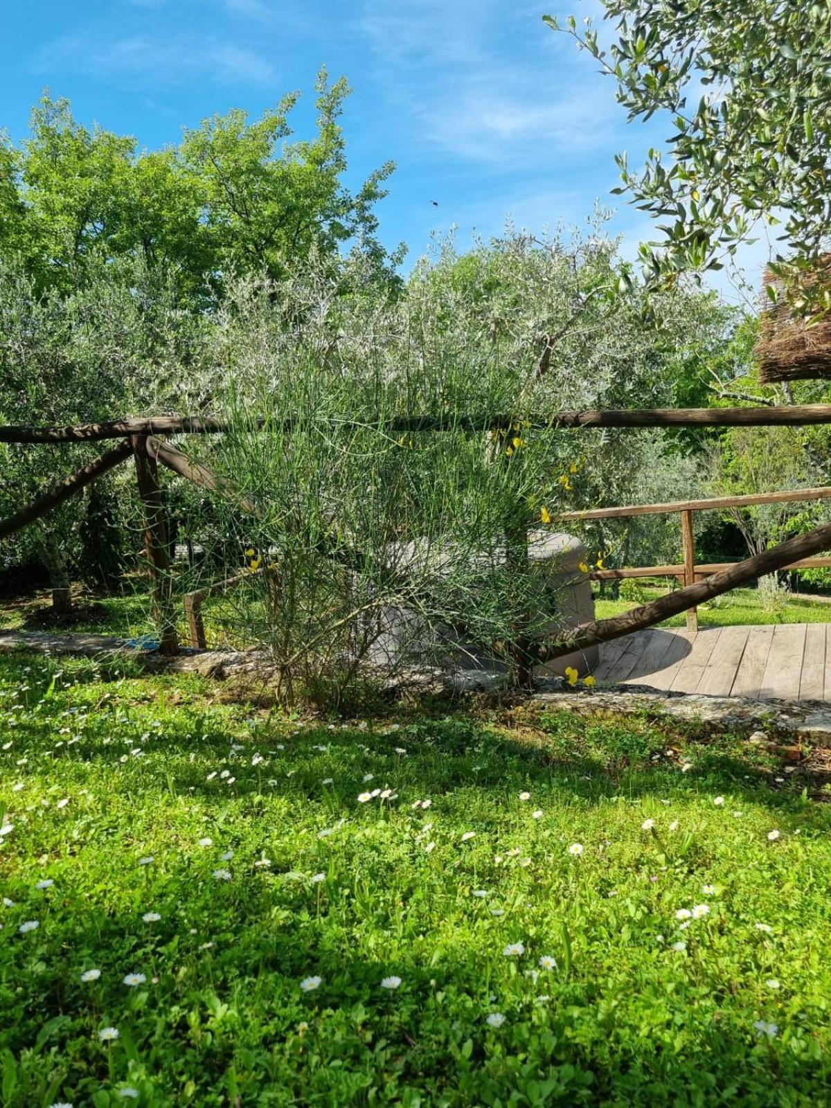 Affittacamere Dimora nel Chianti San Sano Esterno foto