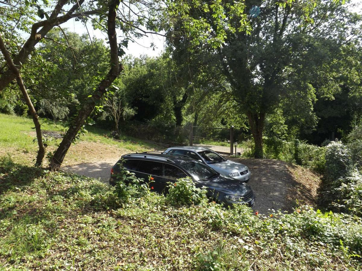 Affittacamere Dimora nel Chianti San Sano Esterno foto