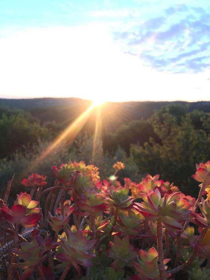 Affittacamere Dimora nel Chianti San Sano Esterno foto